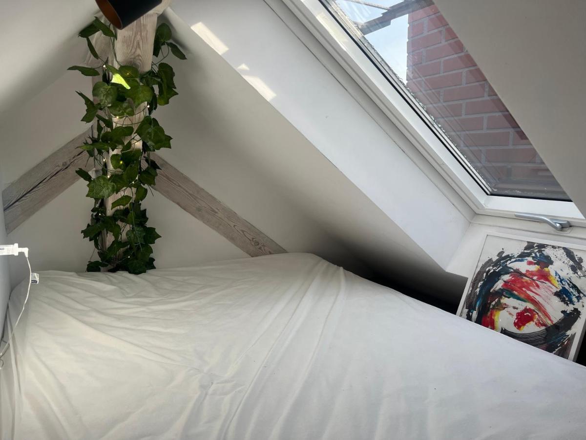 Attic Appart Stary Toruń Exterior foto